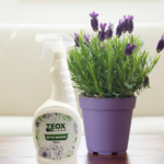 Teox Farm Bitki Besini Spray - Görsel 3