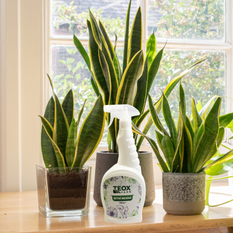 organik bitki besini spray 750ml 3