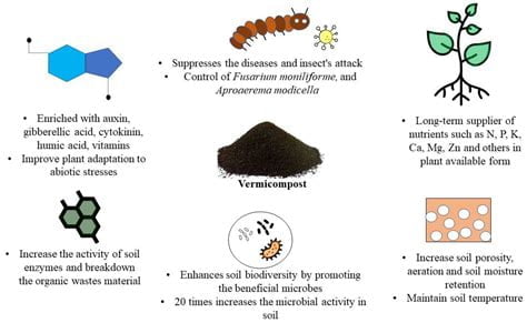 Using Vermicompost to Enhance Plant Disease Resistance and Pest Management
