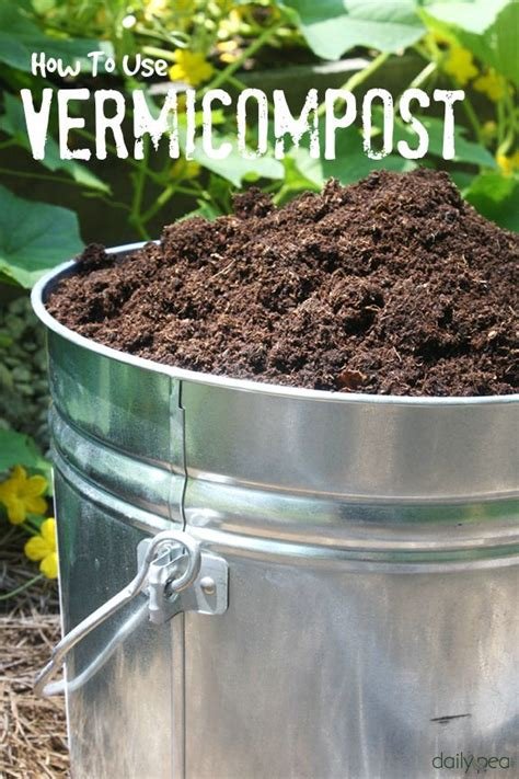 Using Vermicompost to Nourish Your Lawn and Improve Overall Turf Health