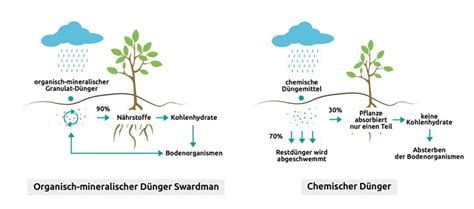 Organischer Dünger und seine Auswirkungen auf die Bodenfruchtbarkeit