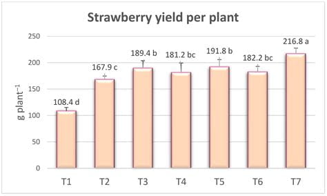 Alanya Strawberry Fertilization Calendar and Use of Vermicompost